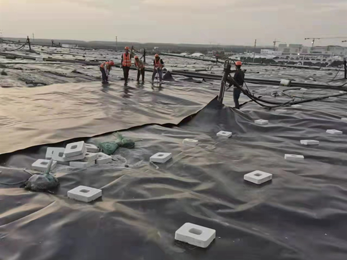 1704373441571809.jpg 60.jpg